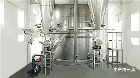 Dried Dragon Fruit Juice Powder for Bubble Tea